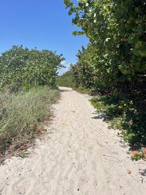 Walk way from parking to the beach