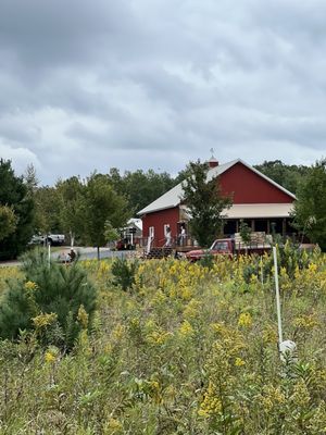 Sunnybrook Apple Orchard