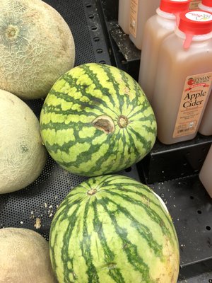 Quality melons