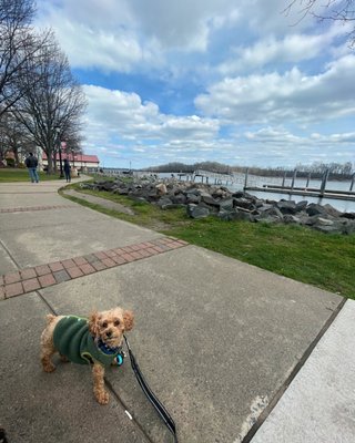 Bristol Waterfront Park