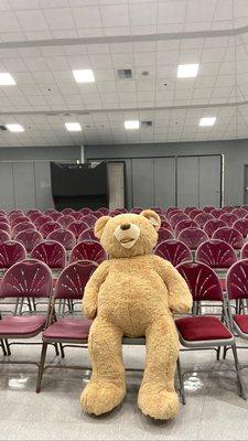 Delivered Mr. Bear for the SY Women's Club Teddy Bears 4 Kids & Holiday Bazaar  event tonight.