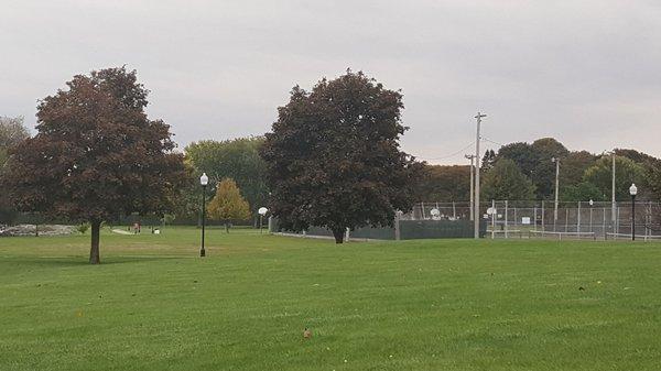 Tennis courts and basketball