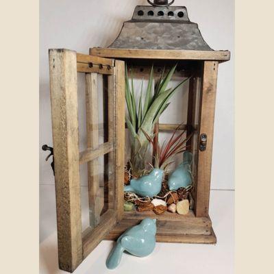 3 BLUE BIRDS IN A LANTERN:
 Did you know eastern blue birds start nesting between late February and mid-March?