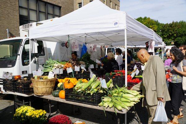 Weekly farmer's market blocks from Park Terrace Gardens.