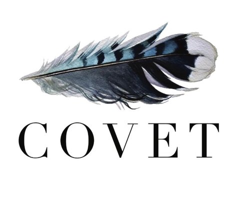 Covet aspen logo - blue jay feather