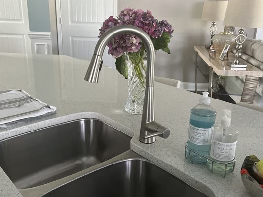 Beautiful new Moen faucet