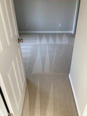 Call us today for our carpet cleaning services!