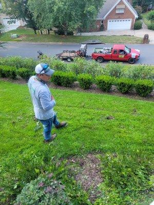 Regular Lawn Service/Maintenance