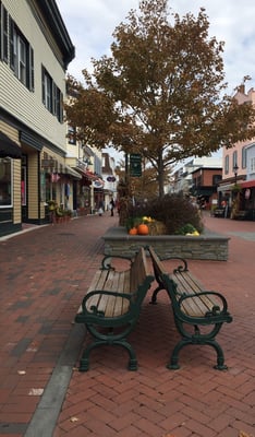 Cape May shopping district