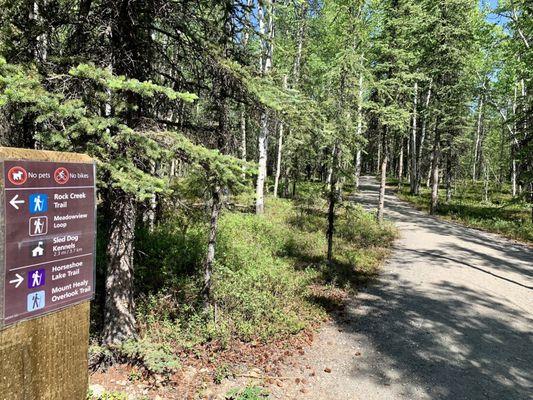 The trailhead sign for Mount Healy Overlook.