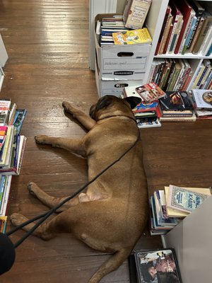 Fuzzy Dog Books & Music