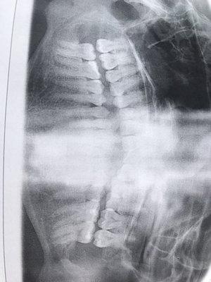 Loftus-Mermer Oral Surgical Assocs