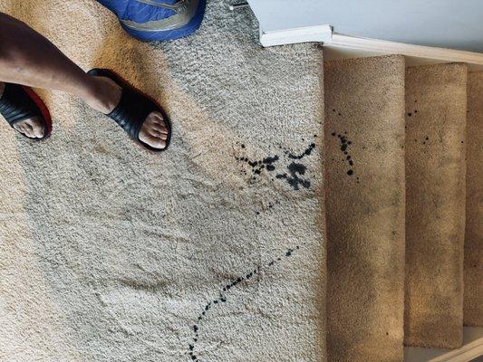 Rust water from outside furniture being brought through the house, without protecting the carpet.