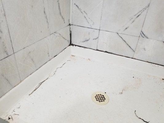 Removing black mold caulking standing shower