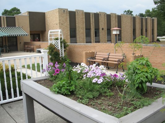 Elevated garden beds which can be easily accessed by residents in wheelchairs.