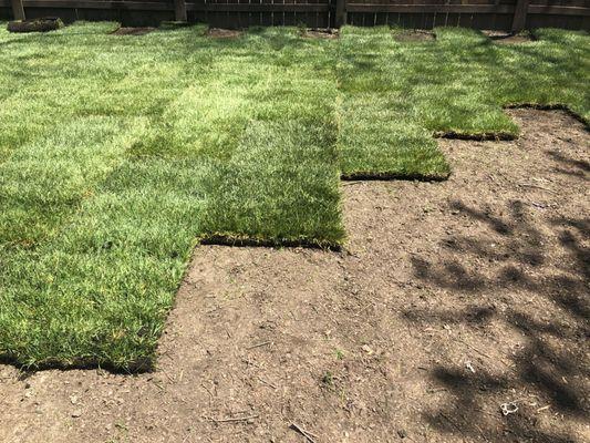 The Sod Squad - Sod being layed for new grass in a residential backyard