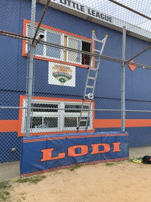 Little League Lodi/Godogsports..