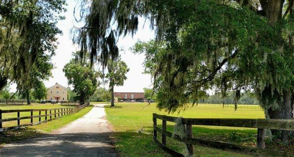 Owner's house on left. Auction house on right.