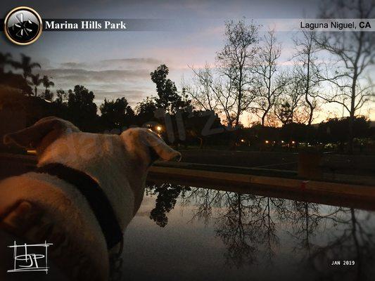 Just after sunset and the rain; bocce ball courts look more like ponds. - Big Aloha!