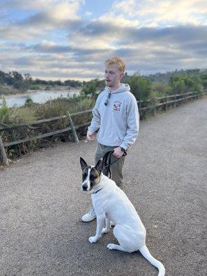 Night And Day Dog Training