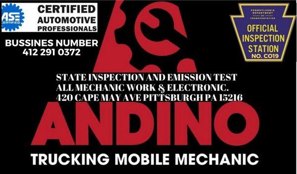 State inspection and emission test, mobile mechanic, car detailing