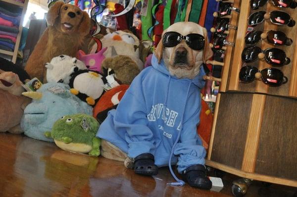 "Missy" the store mascot, sporting some Dr. Gravity's gear and chilling with the squishables.