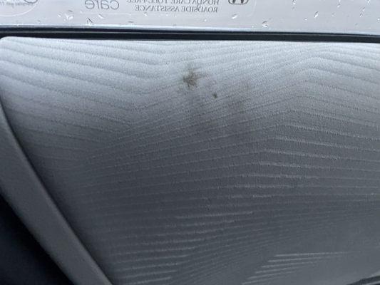 New grease stains on my door panel. Probably will come out with a detail.