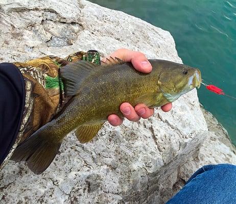 Late April Smallmouth released for your pleasure too!