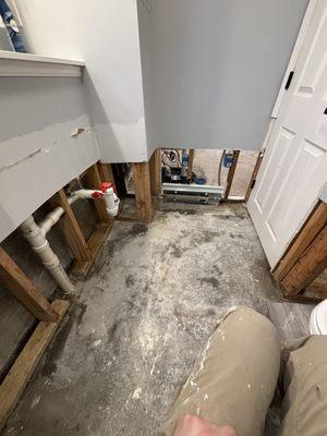 Post flood mold cleanup