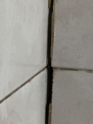 Did not put grout between tiles in shower causing mold to grow behind the shower walls