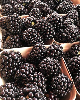 Organic Blackberry