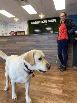 Bennett checking in a full day of play at Camp Bow Wow Towson.   Bennett says "Bow wow Tow!"