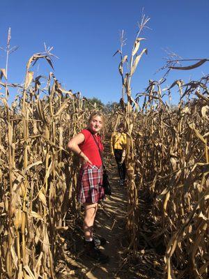 Corn maze