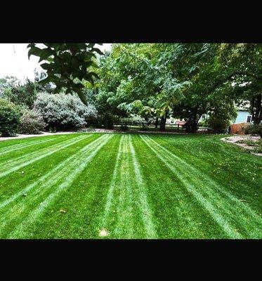 Mowing, Fertilizing and weed control