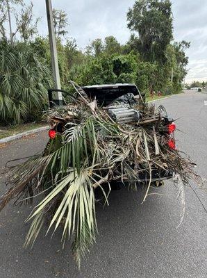 Yard debris pile pickup