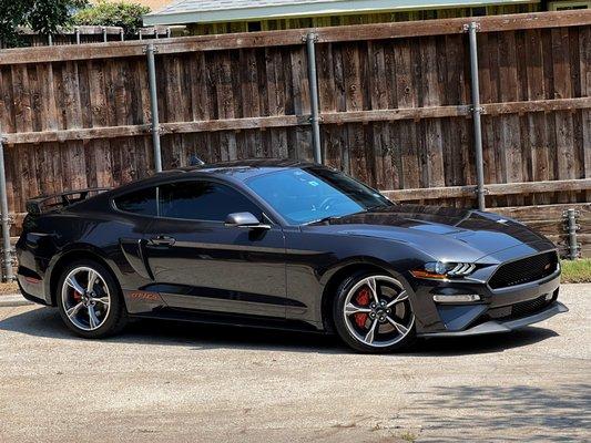 Mustang GTCS Detailed to perfection!