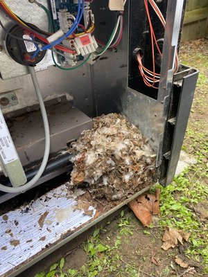 Typical annual cleaning of a outdoor pool heater. #Hayward #PoolHeaters #PetesHeat