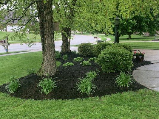 Trenching/edging and mulch from Happy Tree!