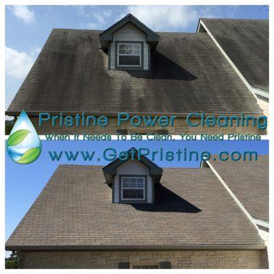 Shingle Roof Cleaning