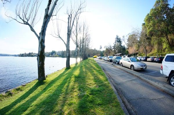 Parking along the Southern side of the park, looking West