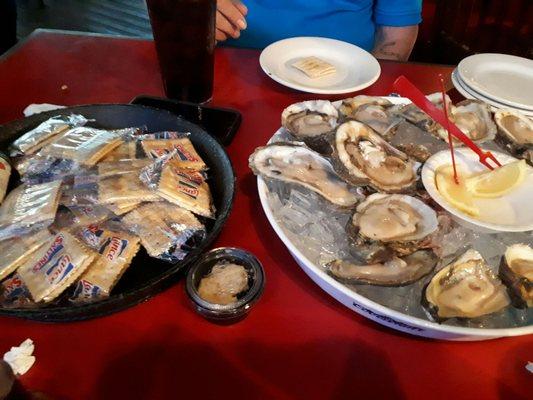 Oysters on the half shell