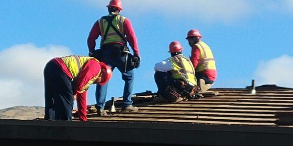 Roofers carefully deciding on a solution to a problem!