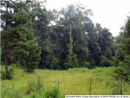 4.44 Acres on The Tickfaw River near Holden, LA