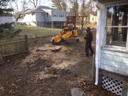 Carlton remote control stump grinder on soft rubber tracks