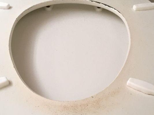 Bottom of toilet seat