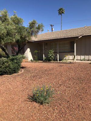 Nick left a few California Poppies per my request. Rocks are all blown out.