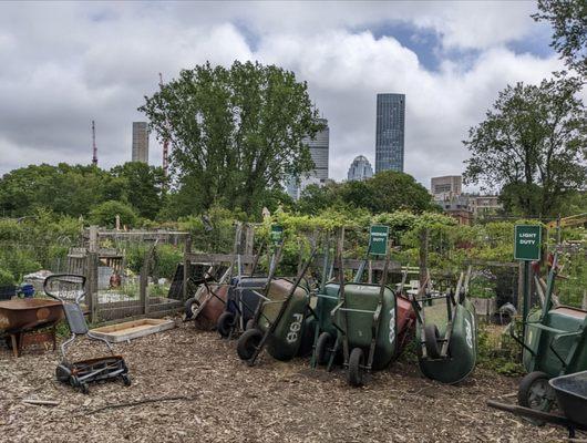 Fenway Victory Gardens 2022