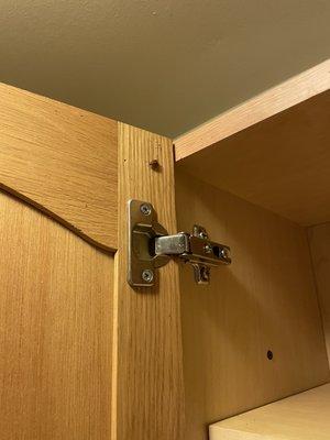 Roaches on kitchen cabinets