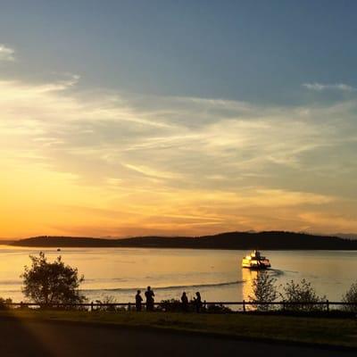 View from Pioneer Orchard Park @sunset