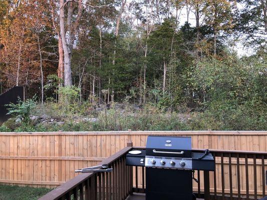 Grilling view from the new backyard.